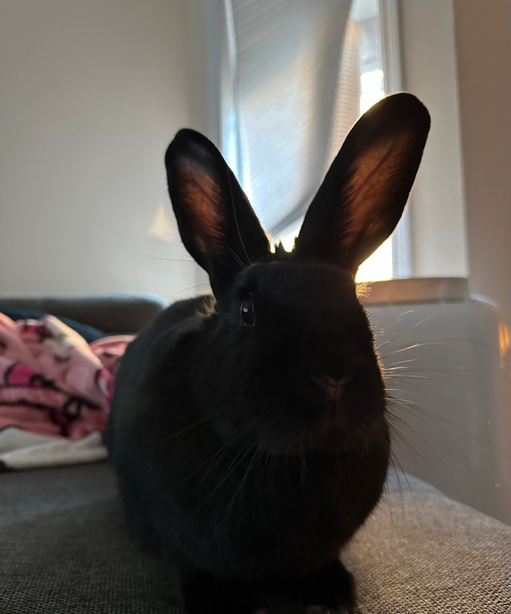 Soft Reset Sunday: The Self-Care&nbsp;Checklist